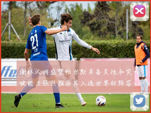 谢林汉姆盛赞帕尔默具备灵性和突破能力强烈推荐其入选世界杯阵容