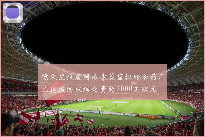 德天空报道阿方索莫雷拉转会药厂已达成协议转会费约3000万欧元