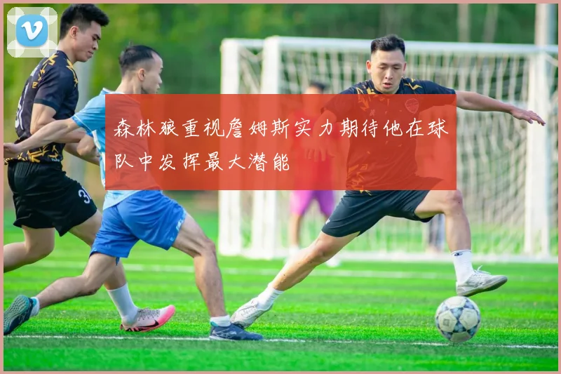 森林狼重视詹姆斯实力期待他在球队中发挥最大潜能