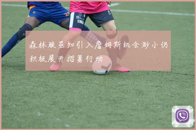 森林狼虽知引入詹姆斯机会渺小仍积极展开招募行动